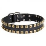 2 Rows Brass Studded Leather American Bulldog Collar for Walking and Training