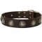 Leather American Bulldog Collar Decorated with Silver Conchos