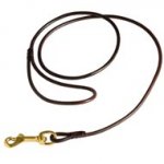 Fully Beneficial Show Leather American Bulldog Leash - Comfort for You and Your Dog