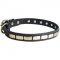 American Bulldog Leather Collar Brass Plates 25 mm