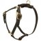 Y-Shaped Leather American Bulldog Harness for Tracking and Training