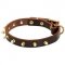 Walking Designer Leather American Bulldog Collar with Brass Spikes