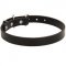 American Bulldog Leather Dog Collar 1 inch Wide
