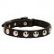 Beautiful Leather American Bulldog Collar Decorated with Half-Ball Studs