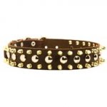 Spiked and Studded American Bulldog Leather Collar
