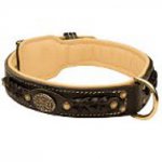 American Bulldog Leather Collar Braided