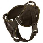 Nylon American Bulldog Harness for Pulling Tracking Training
