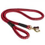 Nylon Cord American Bulldog Leash for Walking and Training