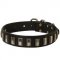 American Bulldog Leather Collar with Shiny Plates