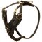 Padded Leather American Bulldog Harness for Agitation Training