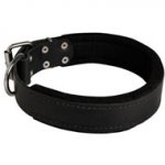 American Bulldog Durable Padded Leather Collar 40 mm