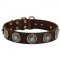 Leather American Bulldog Collar with Blue Stones for Stylish Walking