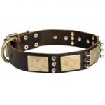 Designer War-Style Leather American Bulldog Collar with Spikes and Plates
