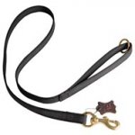 All Weather Nylon American Bulldog Leash for Walking and Training Activities