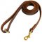Stitched Leather American Bulldog Leash for Training and Walking