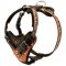 Handpainted in Flames Leather American Bulldog Harness for Agitation Training