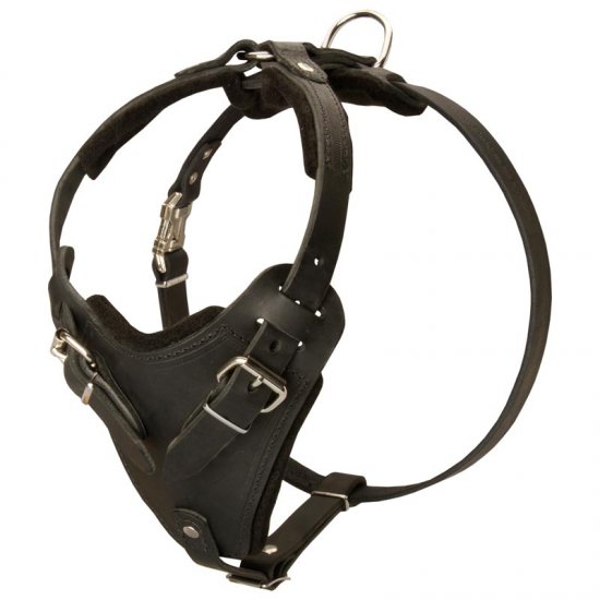 leather agitation harness