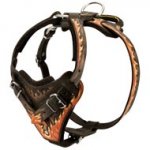 Handpainted in Flames Leather American Bulldog Harness for Agitation Training