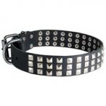 Leather American Bulldog Collar with 3 Rows of Nickel Pyramids