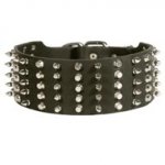 American Bulldog Leather Collar Spiked and Studded