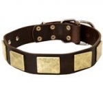 Handcrafted Leather American Bulldog Collar With Vintage Massive Plates