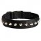 Exclusive Nylon American Bulldog Collar with Awesome Nickel Cones