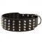 Extra Wide 4 Rows Studded Leather American Bulldog Collar