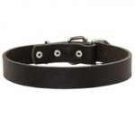 American Bulldog Leather Dog Collar For Pleasant Wearing