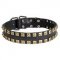 2 Rows Brass Studded Leather American Bulldog Collar for Walking and Training