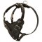 Protection Leather American Bulldog Harness for Attack / Agitation Dog Training