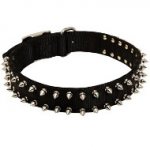 American Bulldog Nylon Collar Spiked