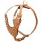 Brass Spiked Leather American Bulldog Harness for Fashion Walking