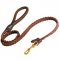 American Bulldog Leather Braided Dog Leash