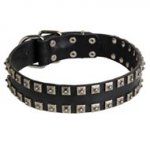 New Leather American Bulldog Collar - Fashion Exclusive Design - "Caterpillar"