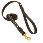 Studded Leather American Bulldog Leash for Dog Walking and Training