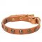 Leather American Bulldog Collar with Brass Half-Ball Studs