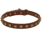 Handcrafted 1 Row Square Studded Leather American Bulldog Collar