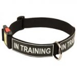 All Weather Nylon American Bulldog Collar with ID Patches