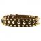 Spiked and Studded American Bulldog Leather Collar