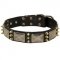 American Bulldog Spiked Leather Collar with Nickel Plates