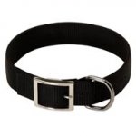 2 Ply Nylon American Bulldog Collar