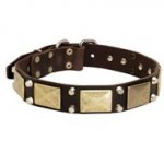 Leather American Bulldog Collar with Studs and Plates