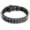 Leather American Bulldog Collar with 2 Rows of Nickel Spikes