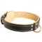 Padded Leather American Bulldog Collar