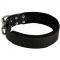 American Bulldog Durable Padded Leather Collar 40 mm