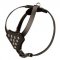 Designer Leather American Bulldog Harness with Adjustable Straps for Puppy Walking and Training