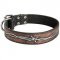 Handpainted Leather American Bulldog Collar with Barbed Wire Drawing