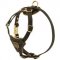 Tracking Walking Walking Leather American Bulldog Harness for Puppies