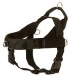 American Bulldog Harness Nylon with Patches