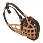 Basket-Like American Bulldog Muzzle Leather